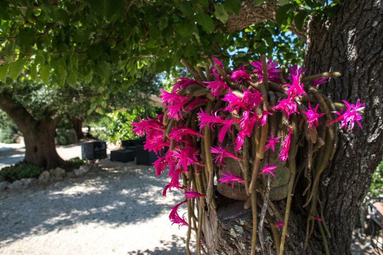 צ'יסטרנינו Agriturismo Grotta Di Figazzano מראה חיצוני תמונה