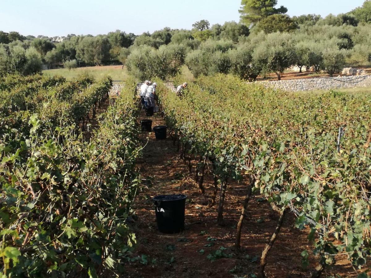 צ'יסטרנינו Agriturismo Grotta Di Figazzano מראה חיצוני תמונה