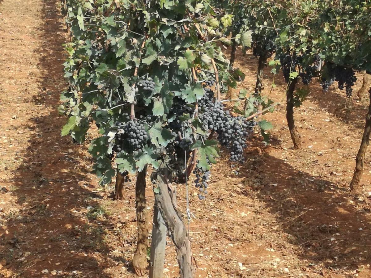 צ'יסטרנינו Agriturismo Grotta Di Figazzano מראה חיצוני תמונה